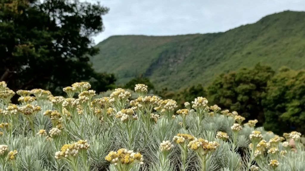 Desain tanpa judul (9).jpg